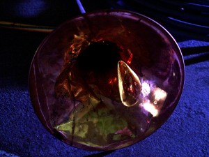 photo by maja gehrig from "on the wing"